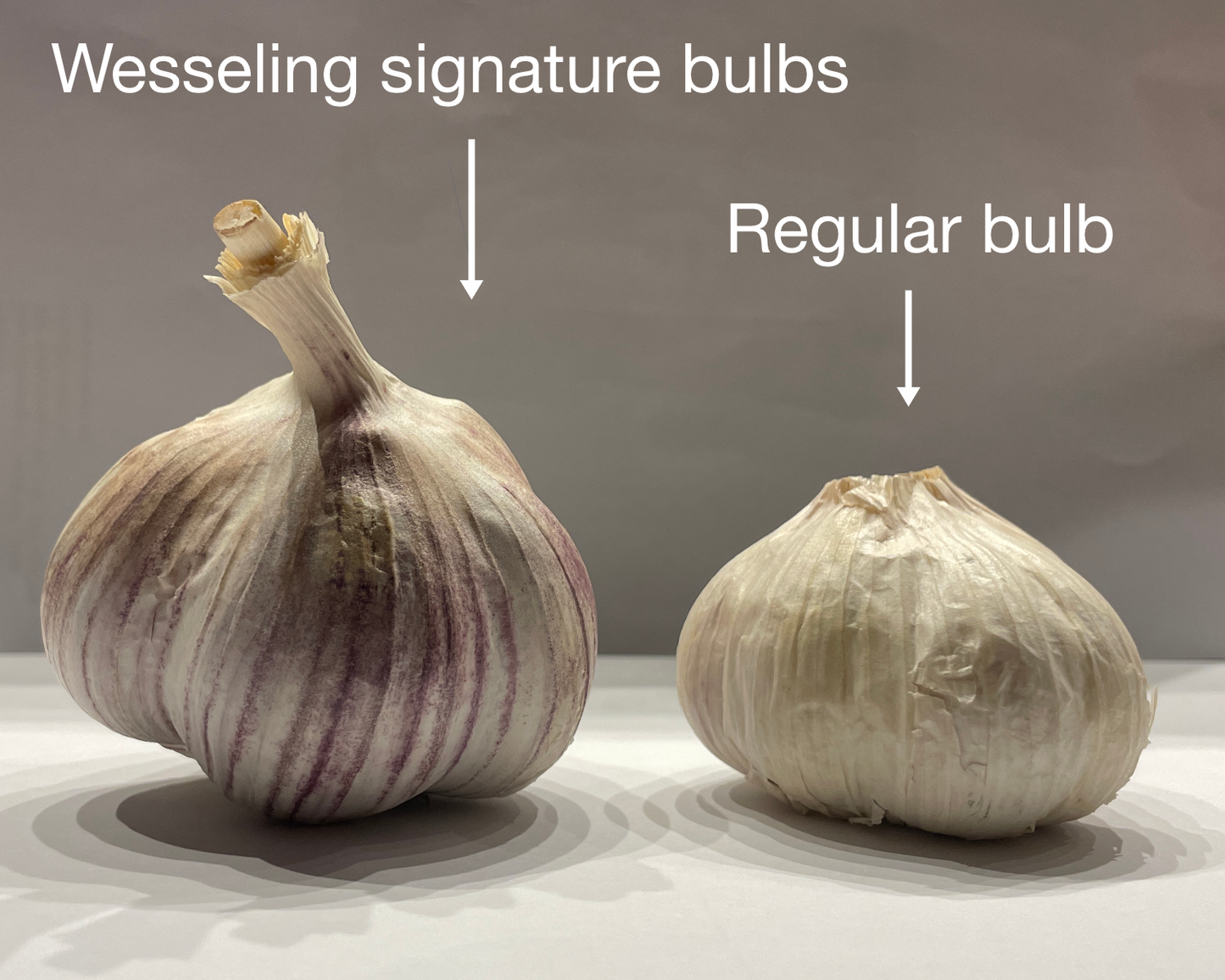Wesseling Farms signature Red Russian garlic™ (5 large bulbs)
