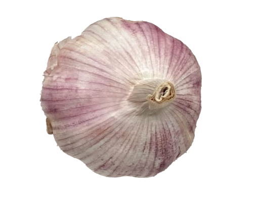 Wesseling Farms signature Red Russian garlic™ (5 bulbs)