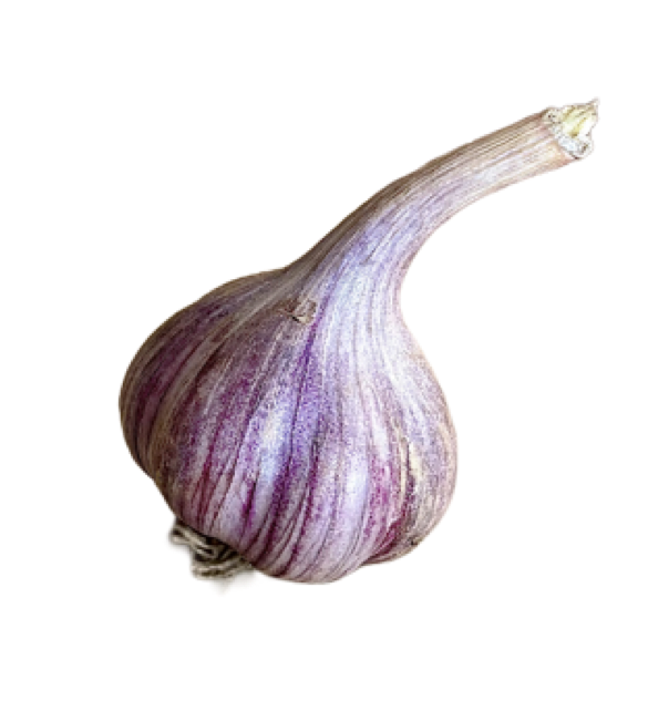 Wesseling Farms signature Russian Red garlic™ (5 assorted bulbs)