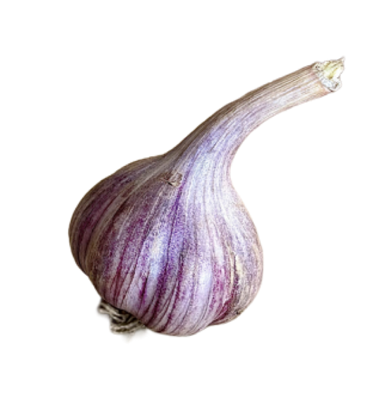 Wesseling Farms signature Russian Red garlic™ (5 assorted bulbs)